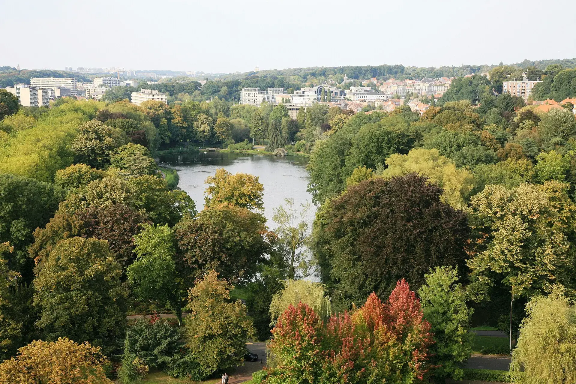 Watermael-Boitfort, nature, étangs de Boitsfort