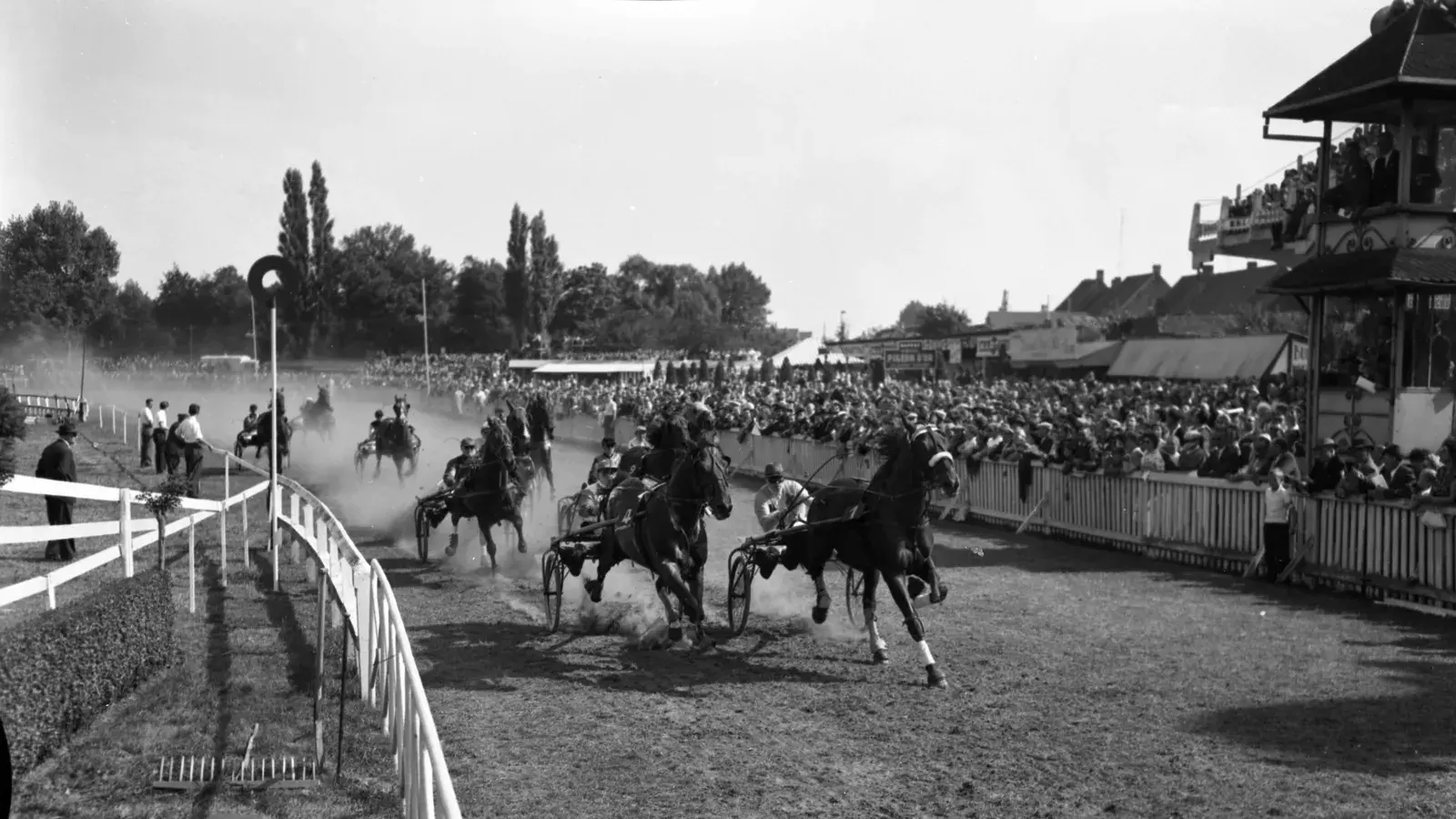 Hippodrome Watermael-Boitsfort, Bruxelles, course de chevaux