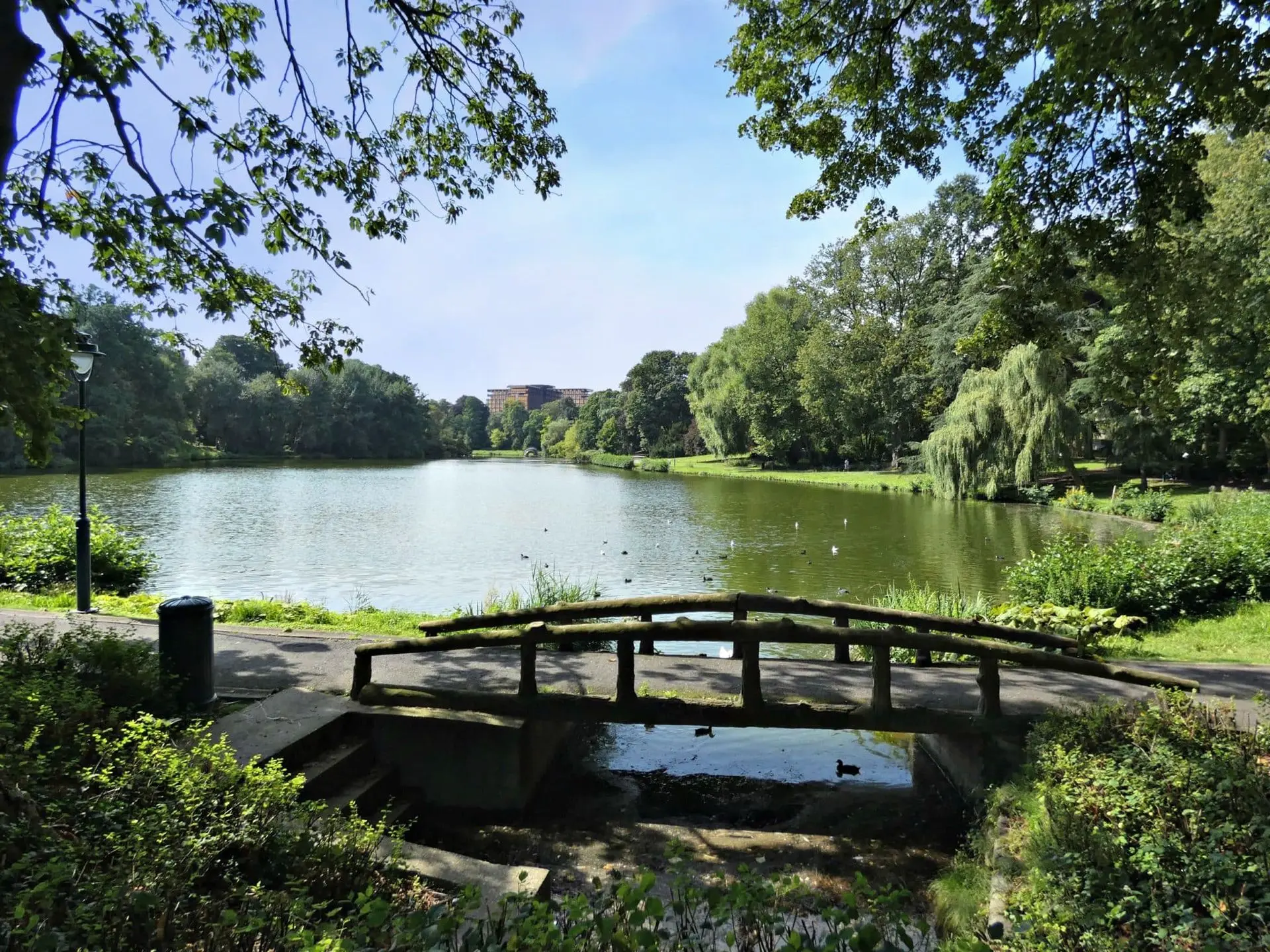 Watermael-Boitsfort, étangs, au repos des chasseurs
