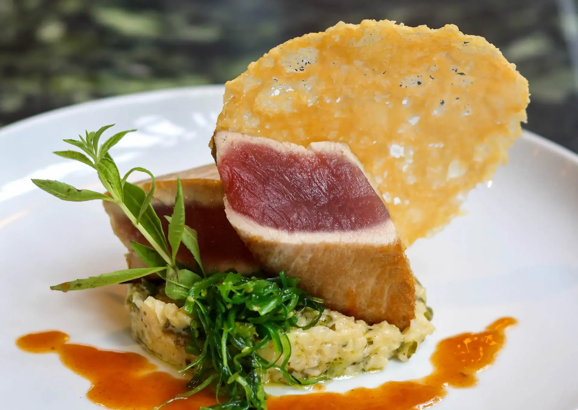 thon rouge mi-cuit, resrtaurant bistronomique, au repos des chasseurs