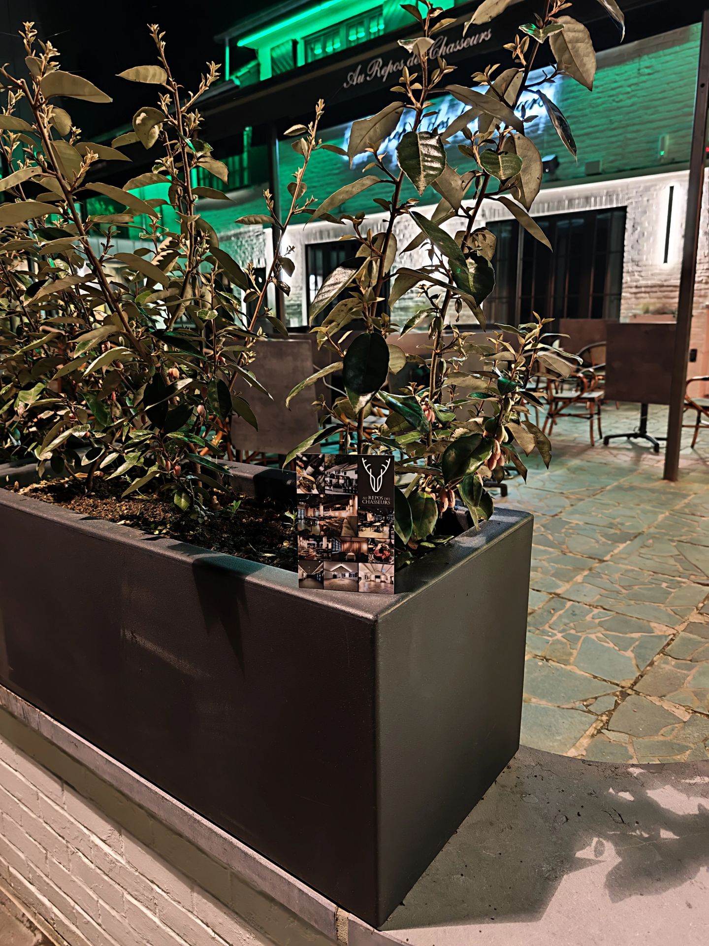 Au repos des Chasseurs, restaurant terrasse, Watermael-boitsfort