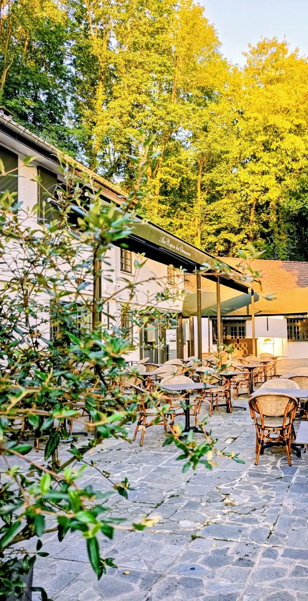 Terrasse,au repos des chasseurs, watermael-boitsfort, estaurant bistronomique,brasserie